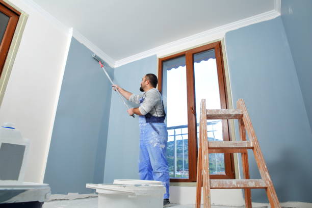 Best Basement Mold Removal  in Willis, TX