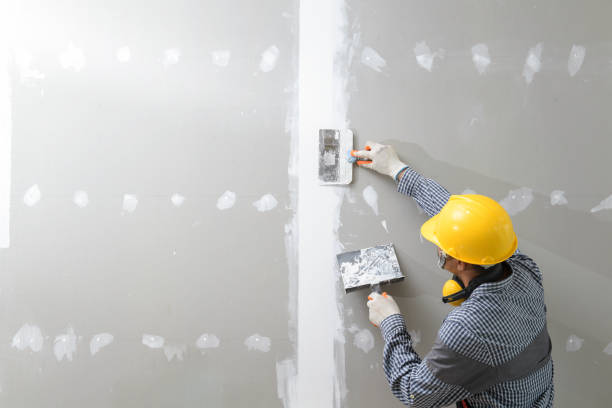 Best Emergency Mold Remediation  in Willis, TX