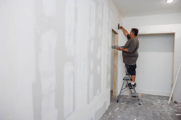 Best Mold Damage Restoration  in Willis, TX