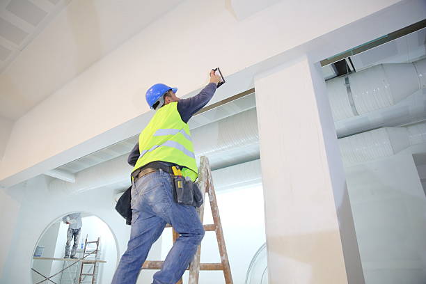 Dehumidification Services in Willis, TX